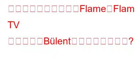 ジェム・スルギット（Flame、Flame TV シリーズ「Bülent」）とは誰ですか?